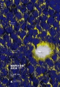 心理学课程怎么选:看师资、内容还是实践训练